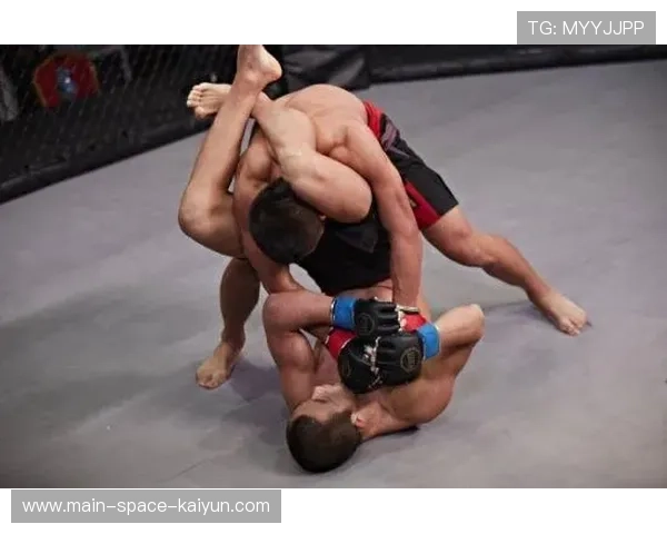 彼得·严精准重击与成功抱摔压制梅拉布，终结其14连胜纪录